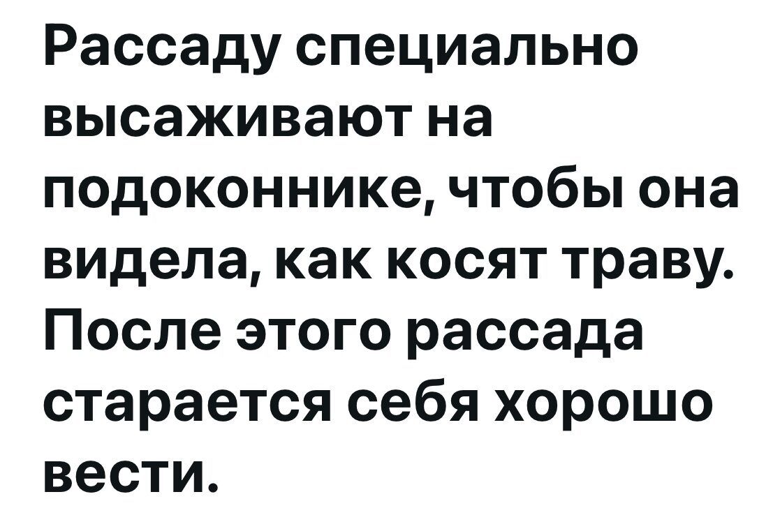 Рассажду специально высаживают на подоконнике, чтобы она видела, как косят траву. После этого рассада старается себя хорошо вести.