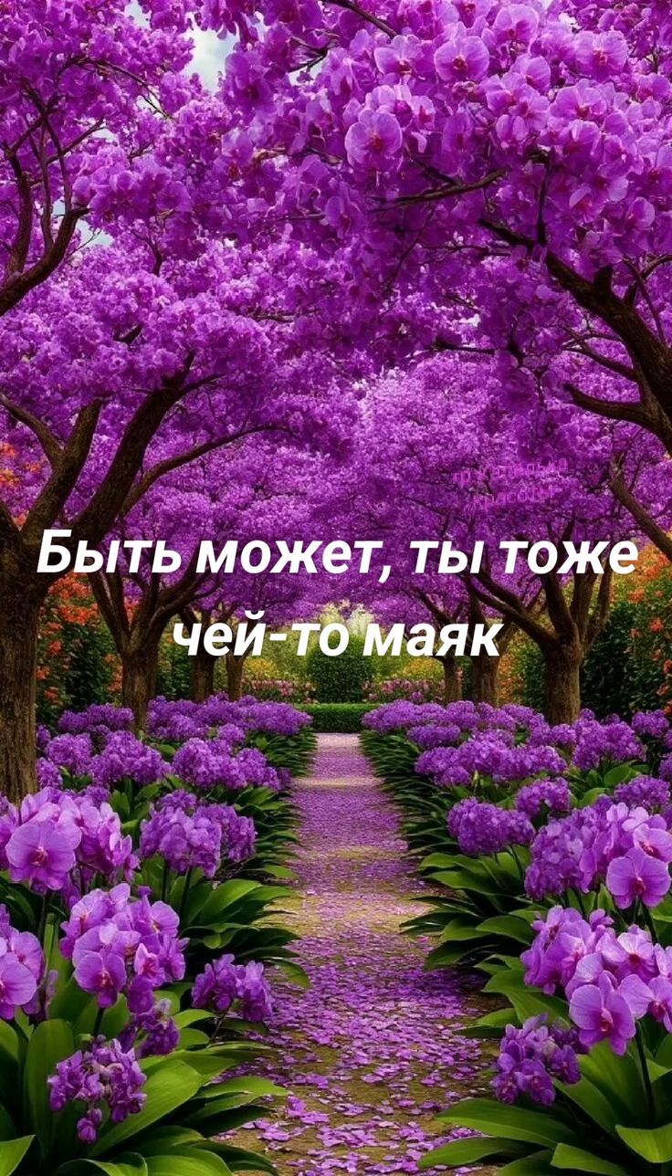 Быть может, ты тоже чей-то маяк
