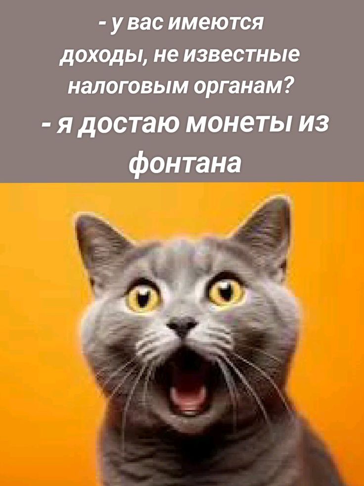 - у вас имеются доходы, не известные налоговым органам?
- я достаю монеты из фонтана