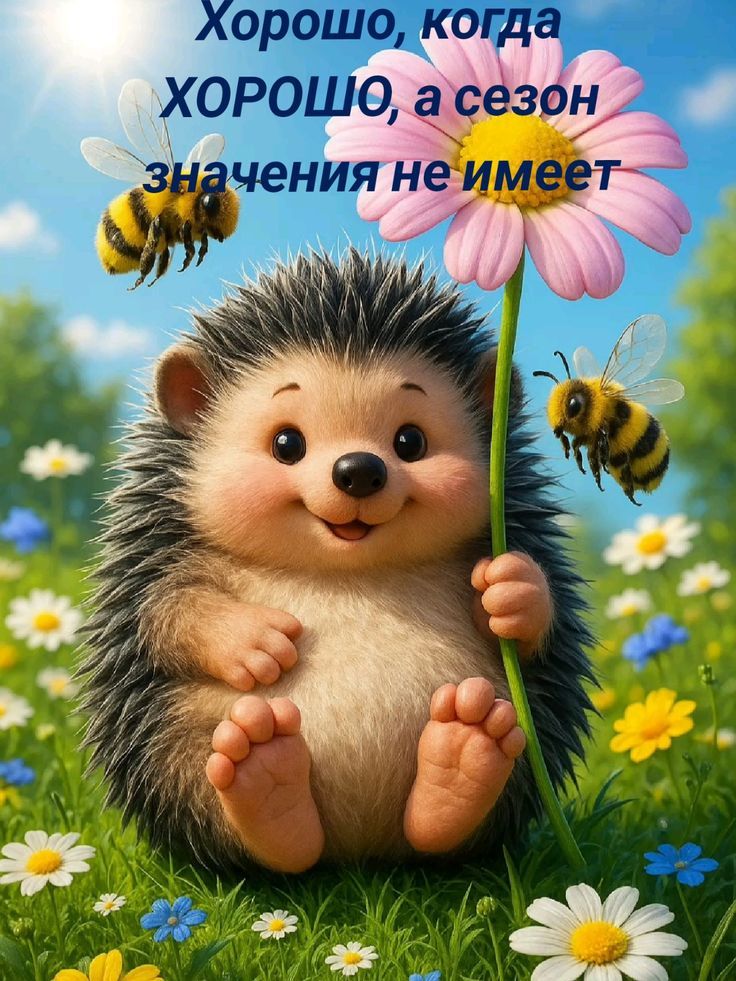Хорошо, когда ХОРОШО, а сезон значения не имеет