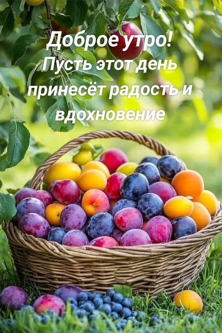 Доброе утро! Пусть этот день принесёт радость и вдохновение