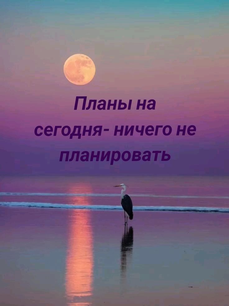 Планы на сегодня- ничего не планировать