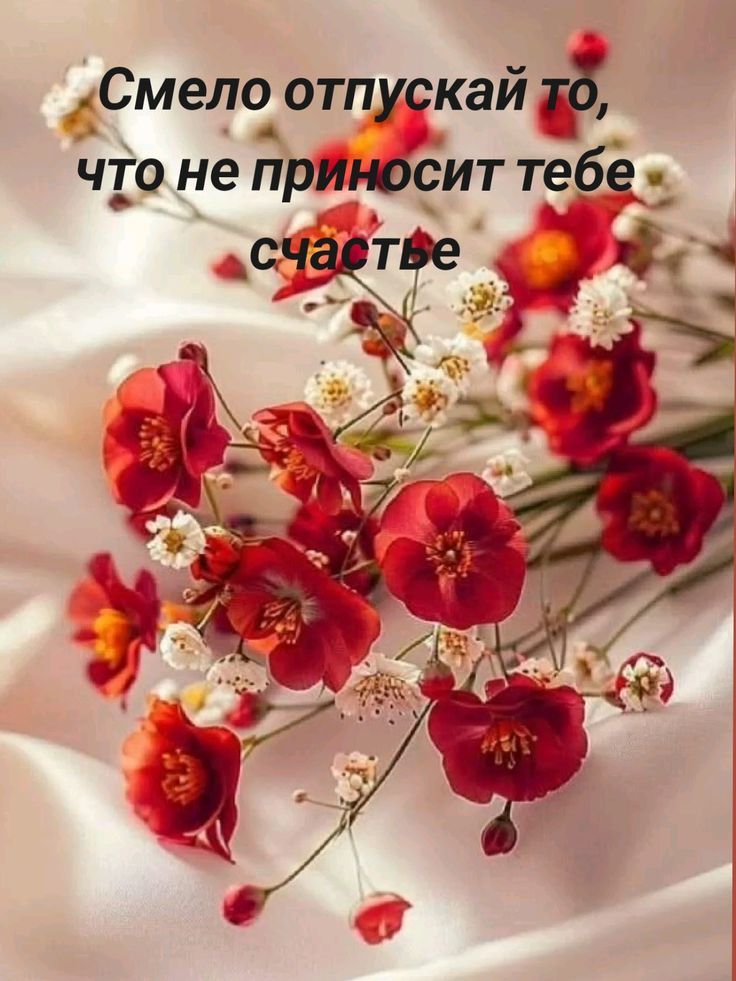 Смело отпускай то, что не приносит тебе счастье