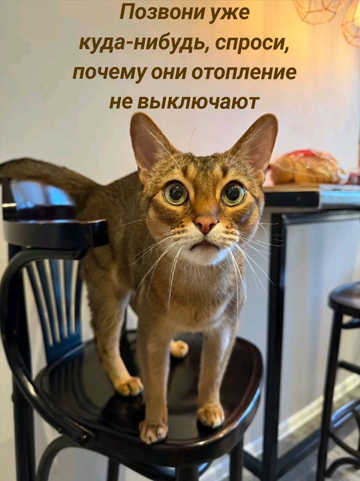Позвони уже куда-нибудь, спроси, почему они отопление не выключают