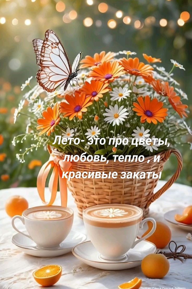 Лето- это про цветы, любовь, тепло , и красивые закаты