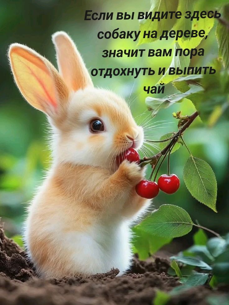 Если вы видите здесь собаку на дереве, значит вам пора отдохнуть и выпить чай