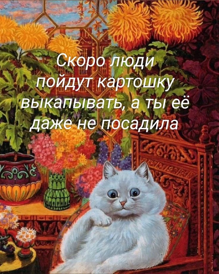 Скоро люди пойдут картошку выкапывать, а ты её даже не посадила
