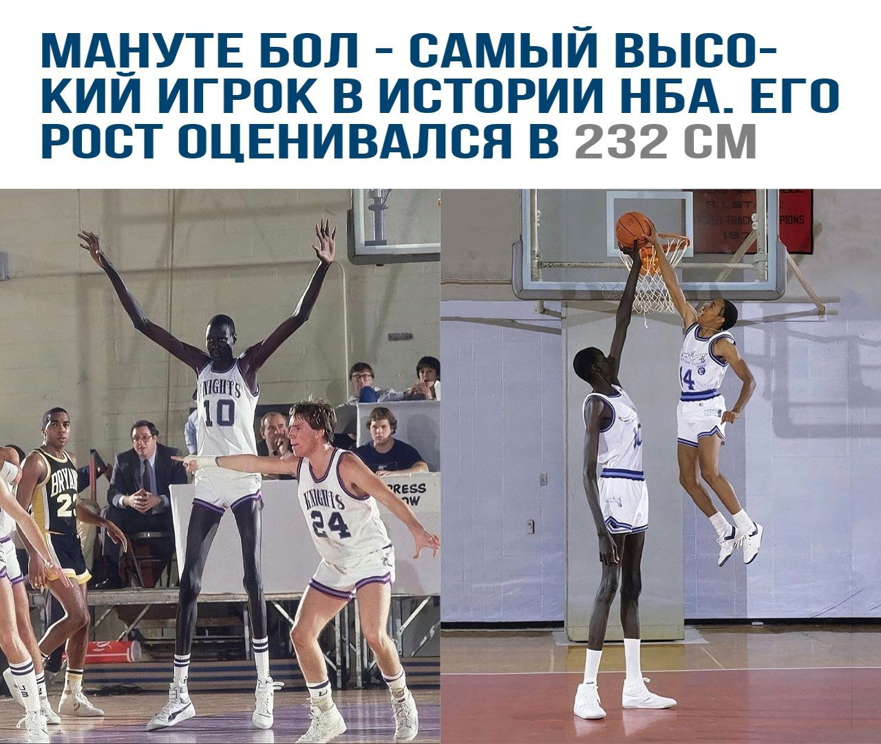 Мануте Бол - самый высокий игрок в истории НБА. Его рост оценивался в 232 см