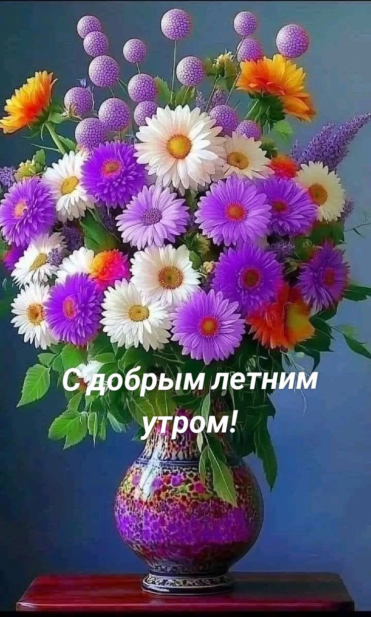 С добрым летним утром!