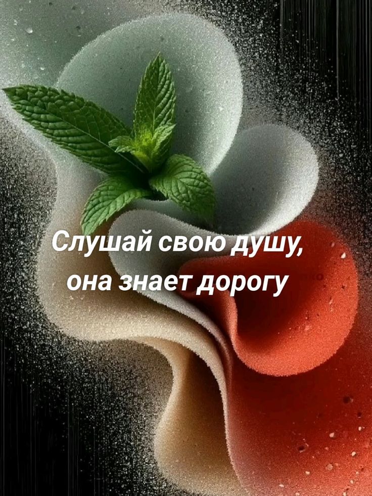 Слушай свою душу, она знает дорогу