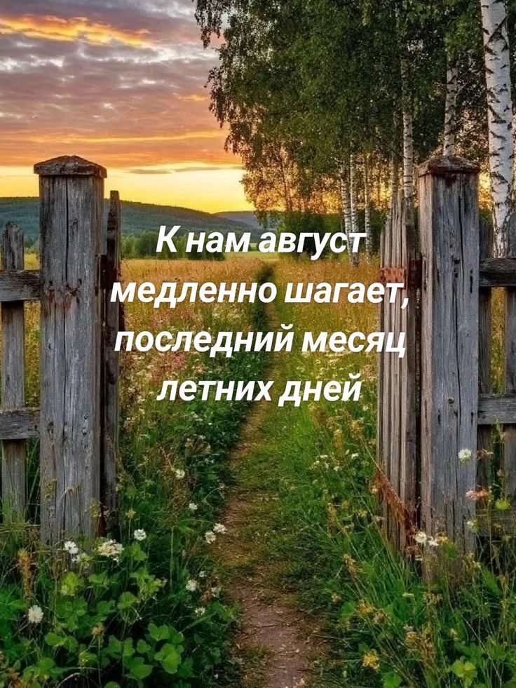 К нам август медленно шагает, последний месяц летних дней