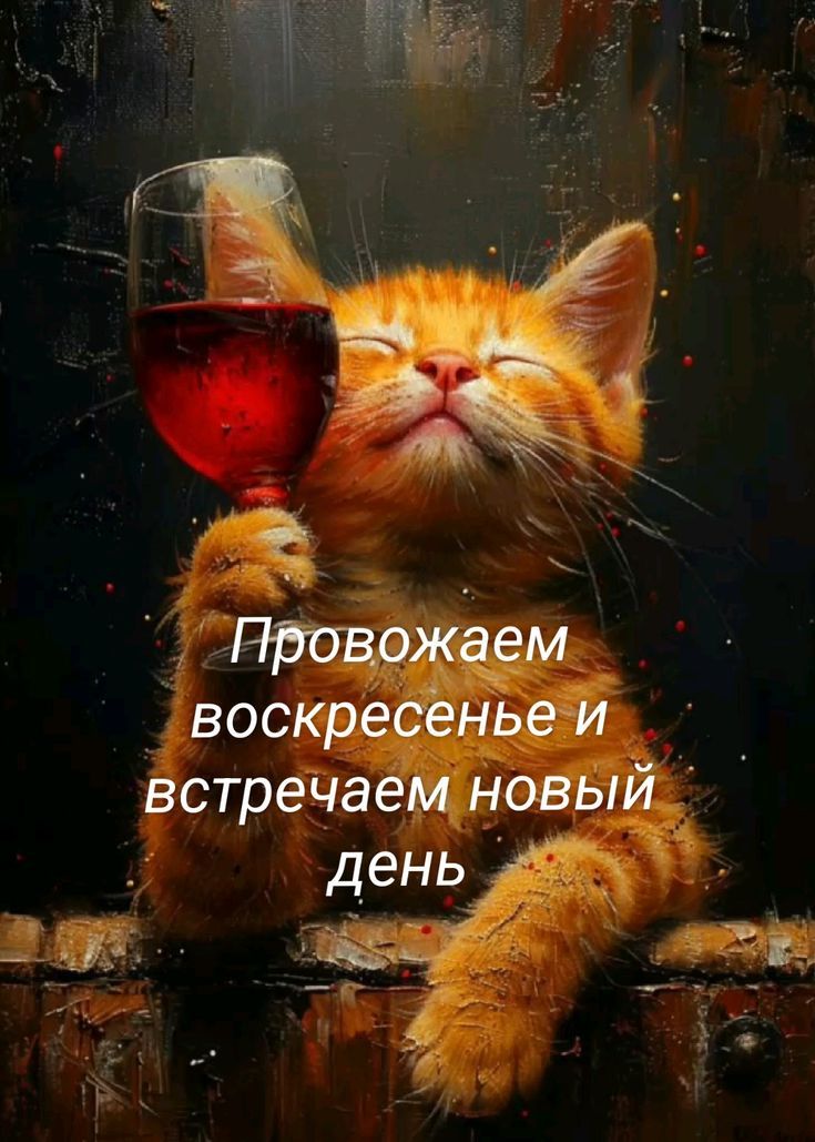 Провожаем воскресенье и встрчаем новый день
