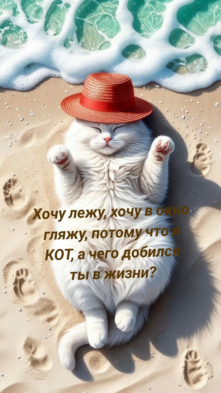Хочу лежу, хочу в окнoгляжу, потому что я КОТ, а чего добился ты в жизни?