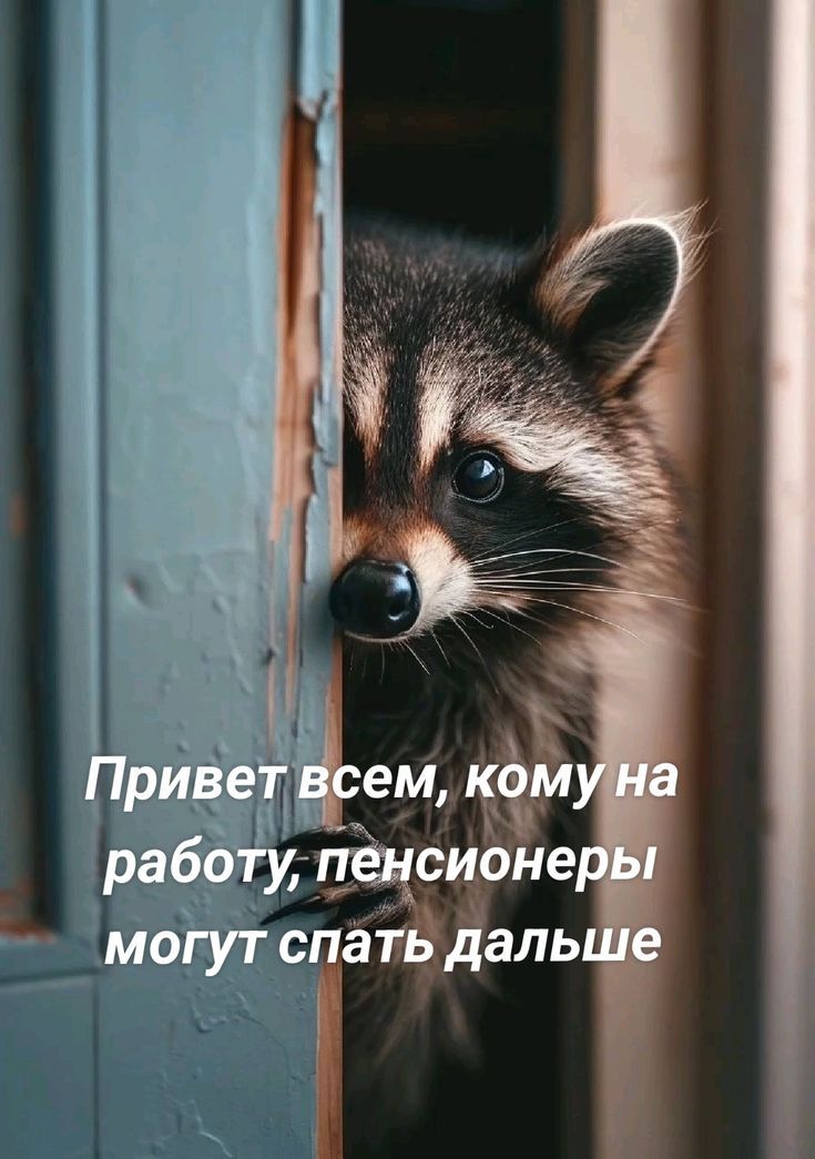 Привет всем, кому на работу, пенсионеры могут спать дальше