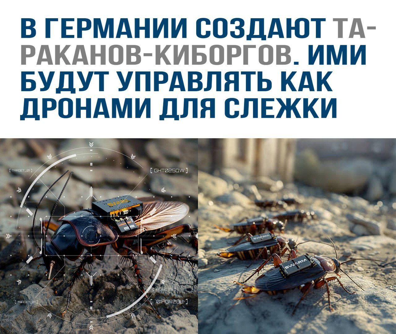 В ГЕРМАНИИ СОЗДАЮТ TA-РАКАНОВ-КИБОРГОВ. ИМИ БУДУТ УПРАВЛЯТЬ КАК ДРОНАМИ ДЛЯ СЛЕЖКИ