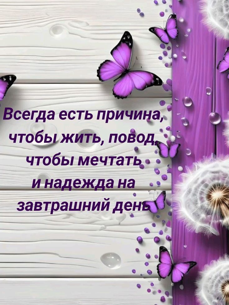 Всегда есть причина, чтобы жить, повод, чтобы мечтать и надежда на завтрашний день