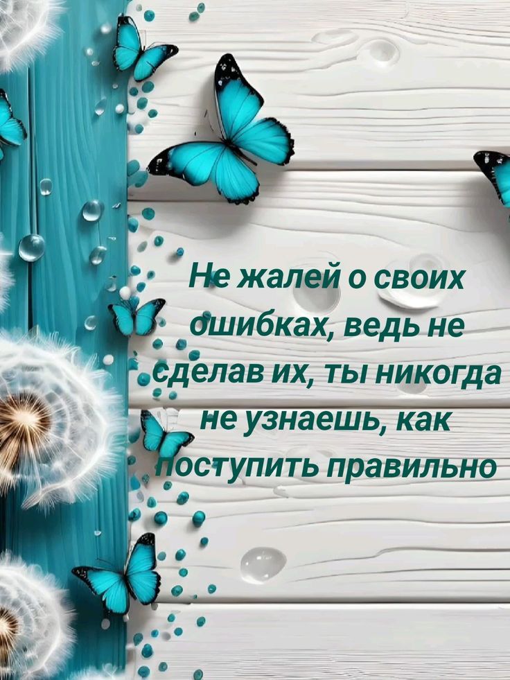 Не жалей о своих ошибках, ведь не сделав их, ты никогда не узнаешь, как поступить правильно