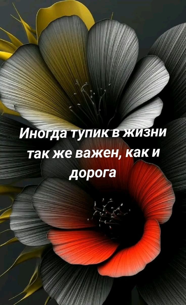 Иногда тупик в жизни так же важен, как и дорога