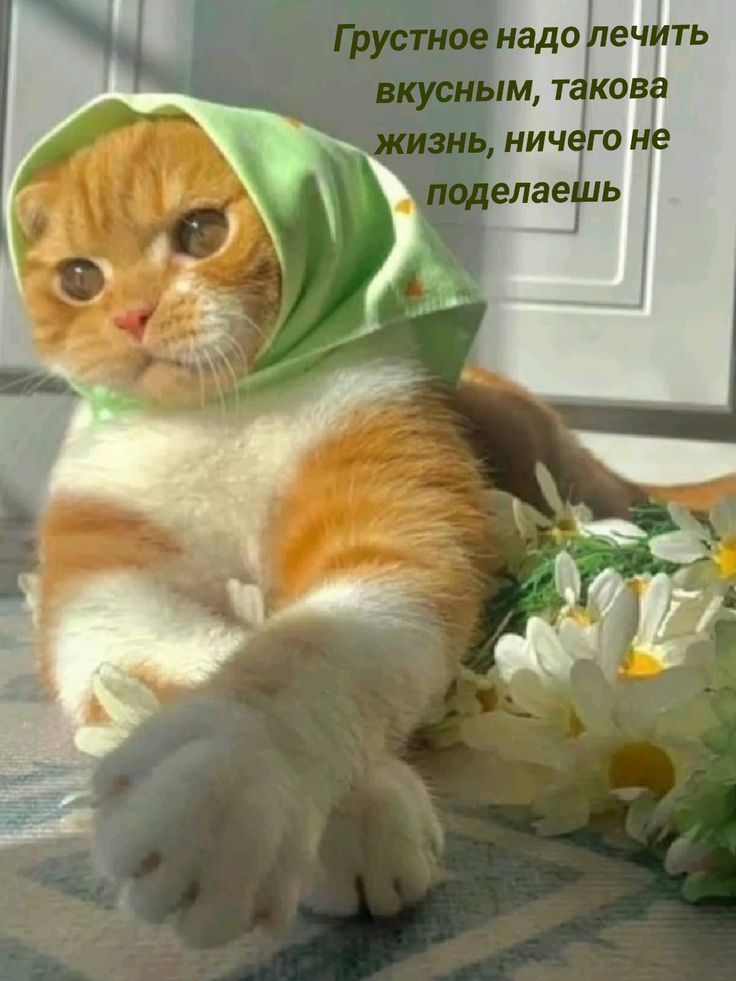 Грустное надо лечить вкусным, такова жизнь, ничего не поделаешь