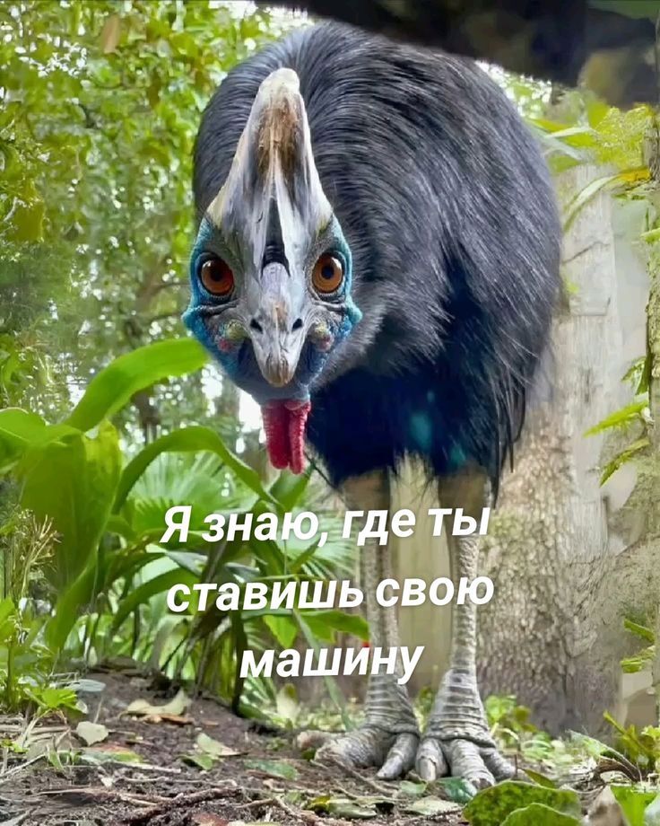 Я знаю, где ты ставишь свою машину