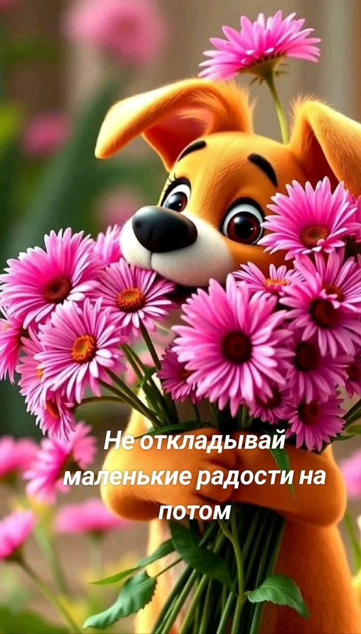 Не откладывай маленькие радости на потом