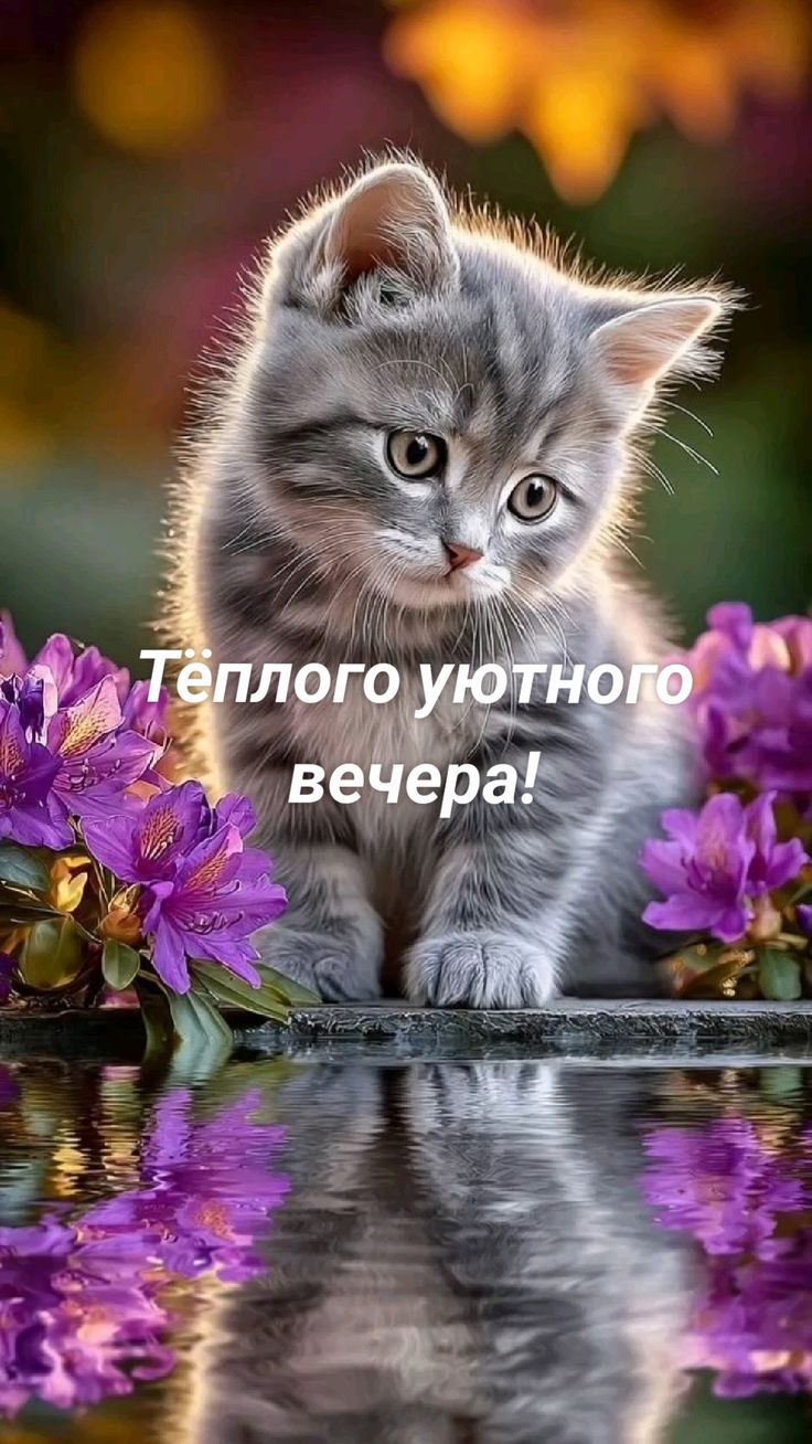 Тёплого уютного вечера!