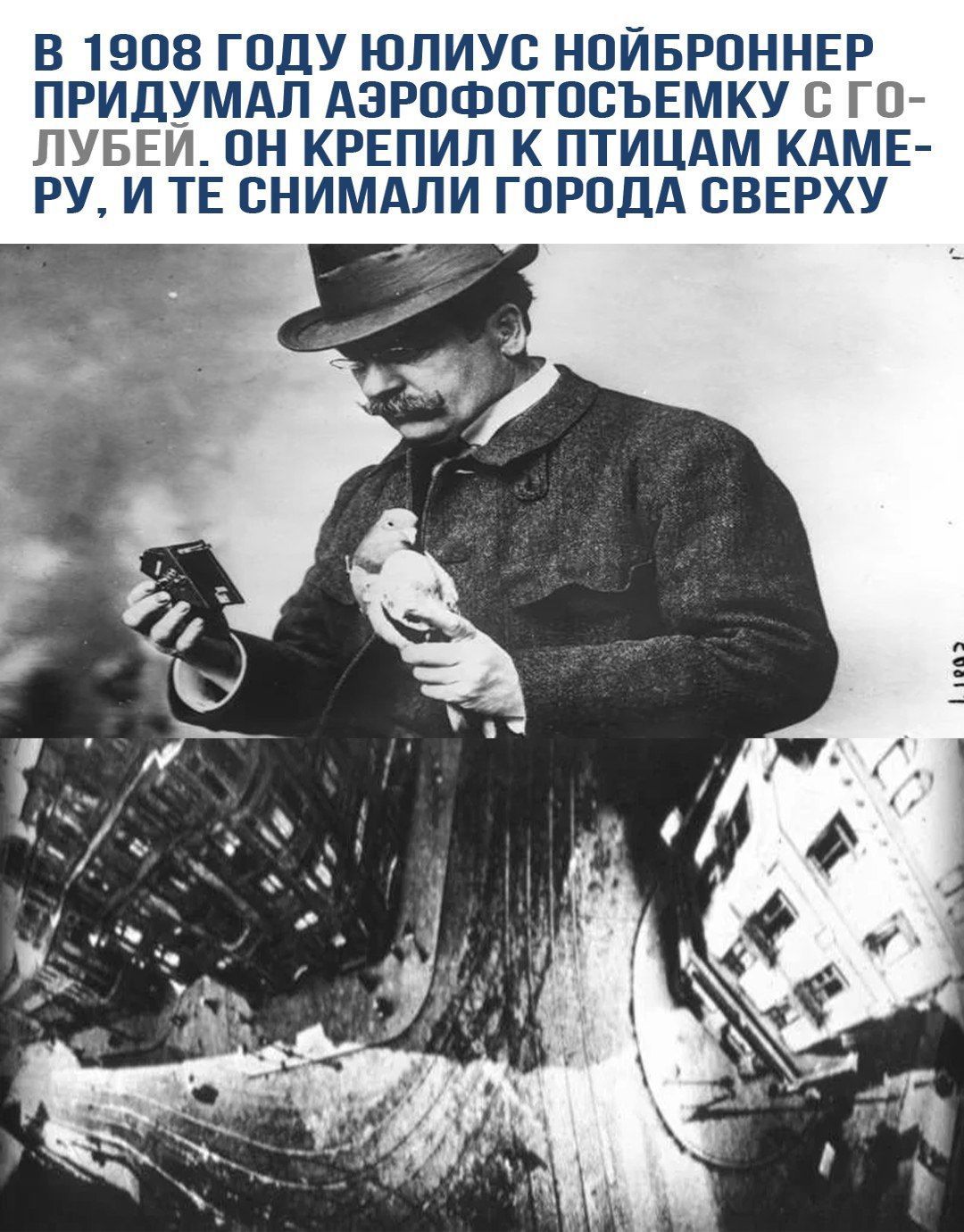 В 1908 ГОДУ ЮЛИУС НОЙБРОННЕР ПРИДУМАЛ АЭРОФОТОСЪЕМКУ С ГОЛУБЕЙ. ОН КРЕПИЛ К ПТИЦАМ КАМЕРУ, И ТЕ СНИМАЛИ ГОРОДА СВЕРХУ