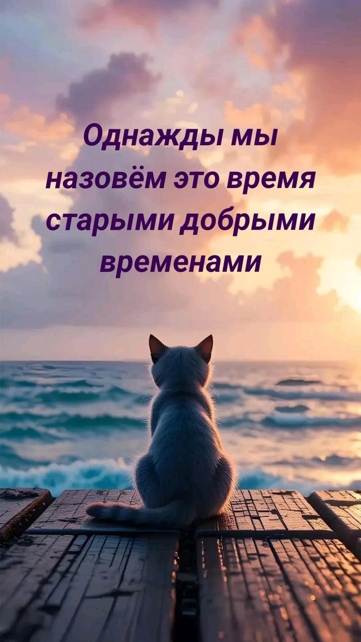 Однажды мы назовём это время старыми добрыми временами