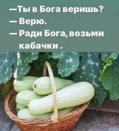 — Ты в Бога веришь?  — Верю.  — Ради Бога, возьми кабачки.