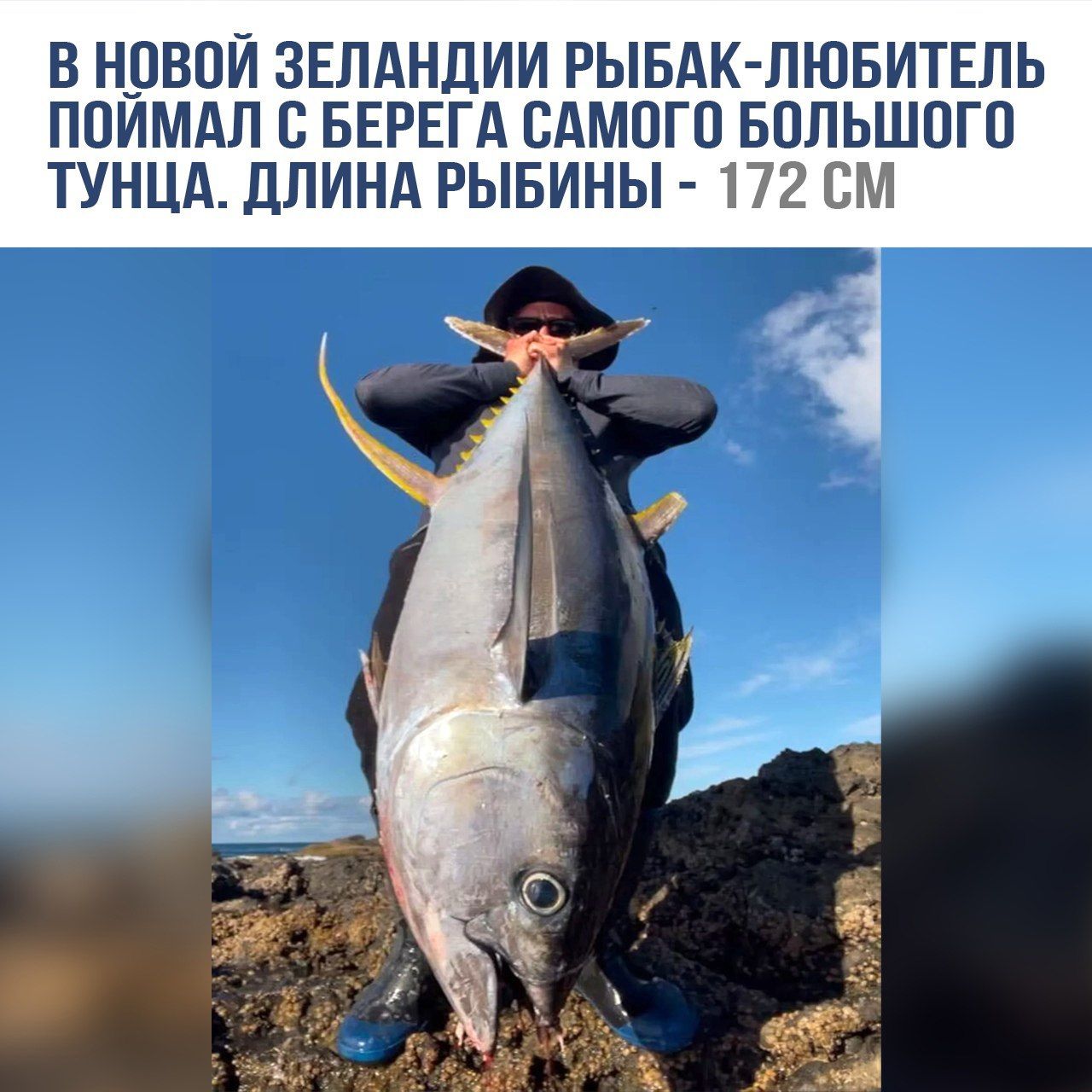 В НОВОЙ ЗЕЛАНДИИ РЫБАК-ЛЮБИТЕЛЬ ПОЙМАЛ С БЕРЕГА САМОГО БОЛЬШОГО ТУНЦА. ДЛИНА РЫБИНЫ - 172 СМ