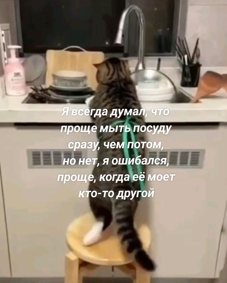Я всегда думал, что проще мыть посуду сразу, чем потом, но нет, я ошибался, проще, когда её моет кто-то другой.