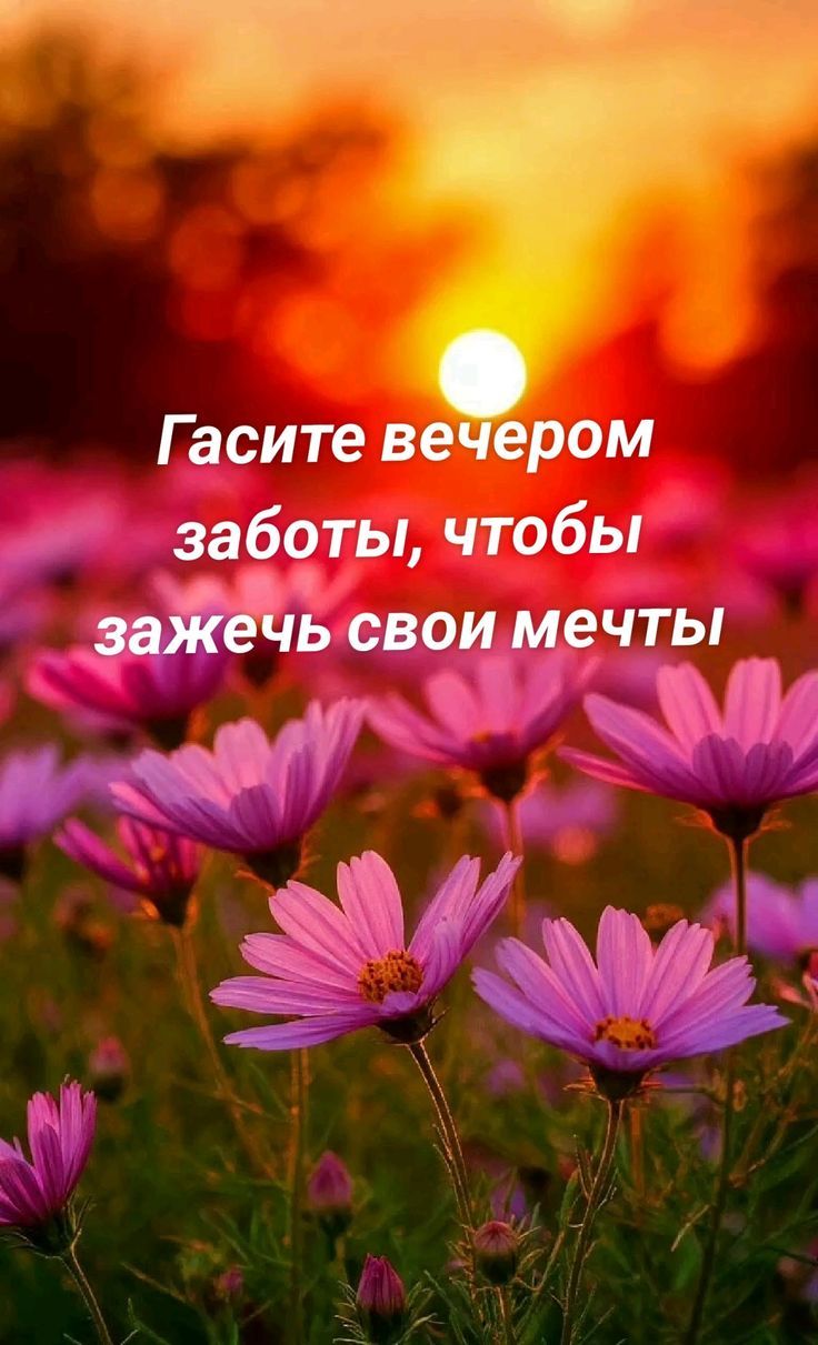 Гасите вечером заботы, чтобы зажечь свои мечты