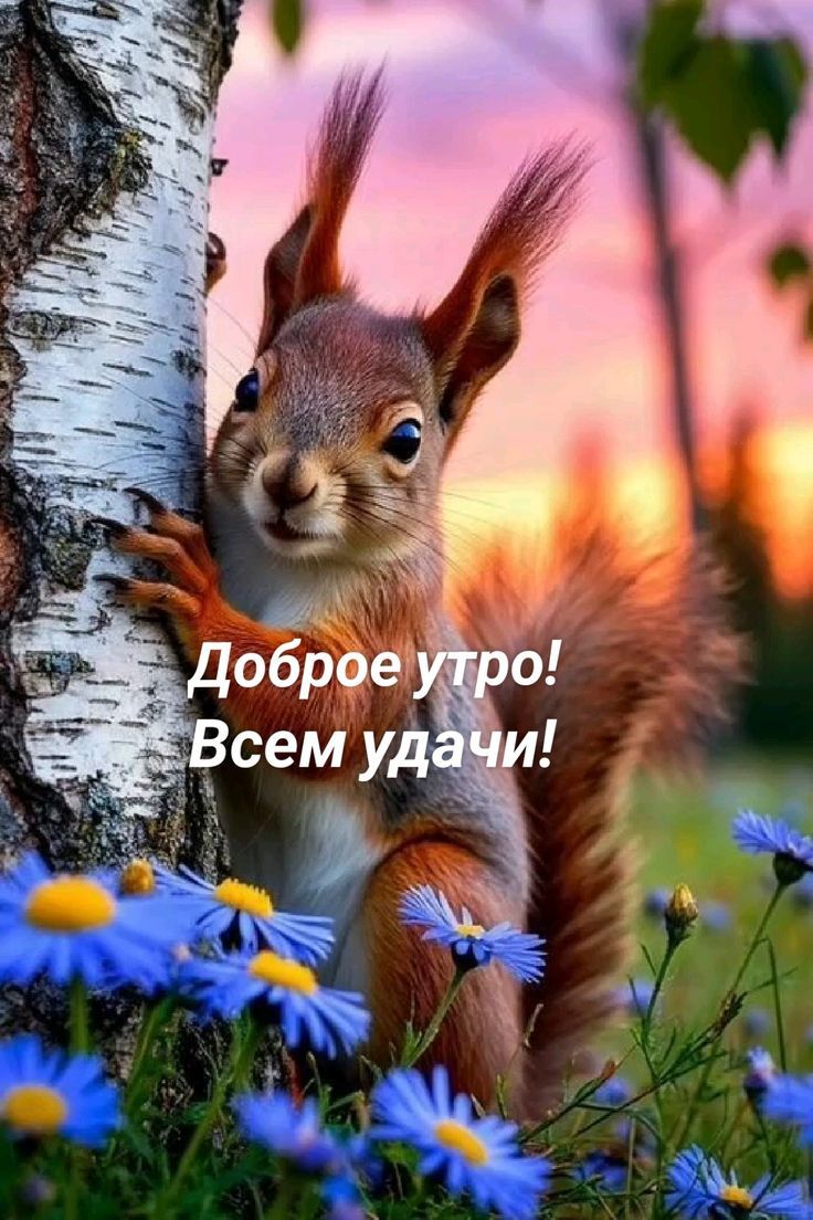 Доброе утро! Всем удачи!