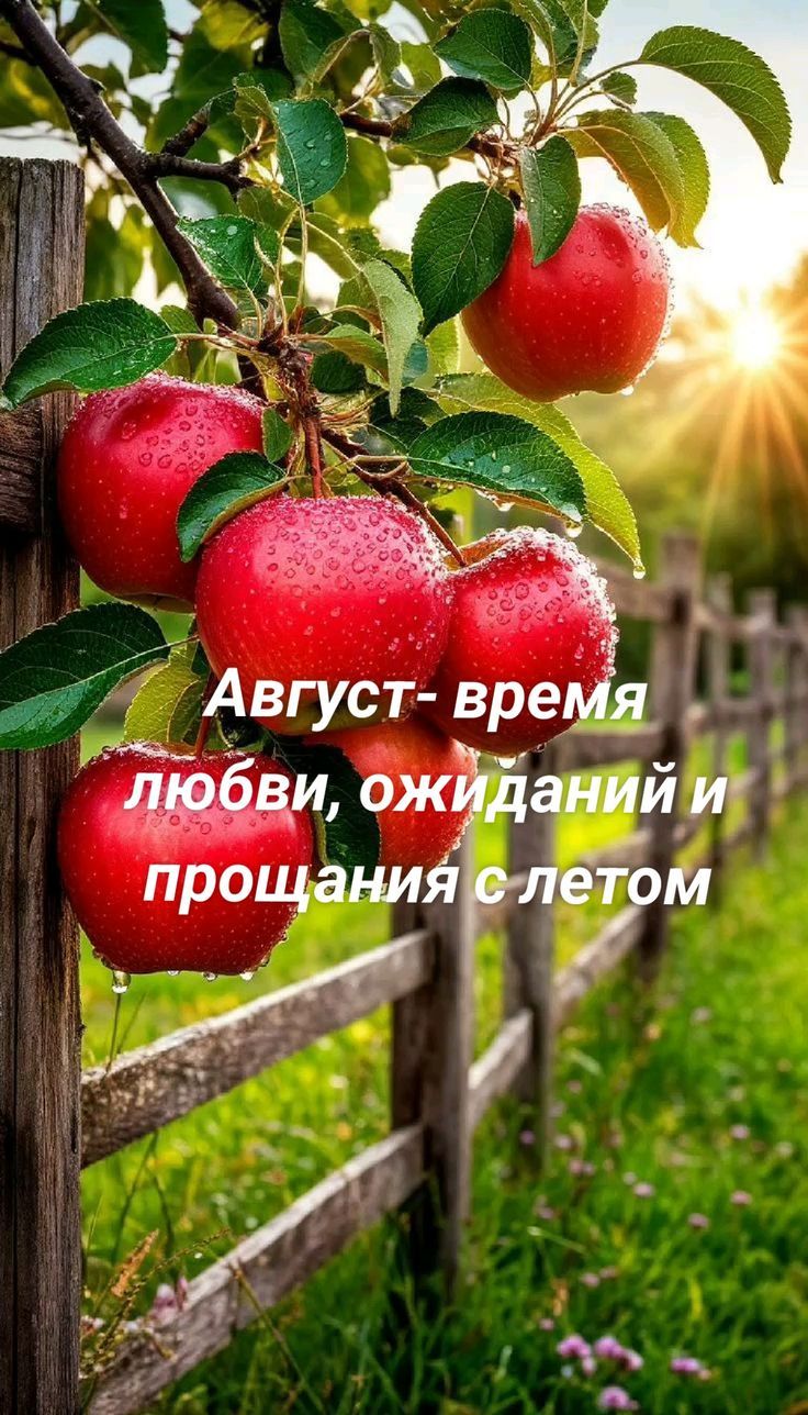 Август- время любви, ожиданий и прощания с летом