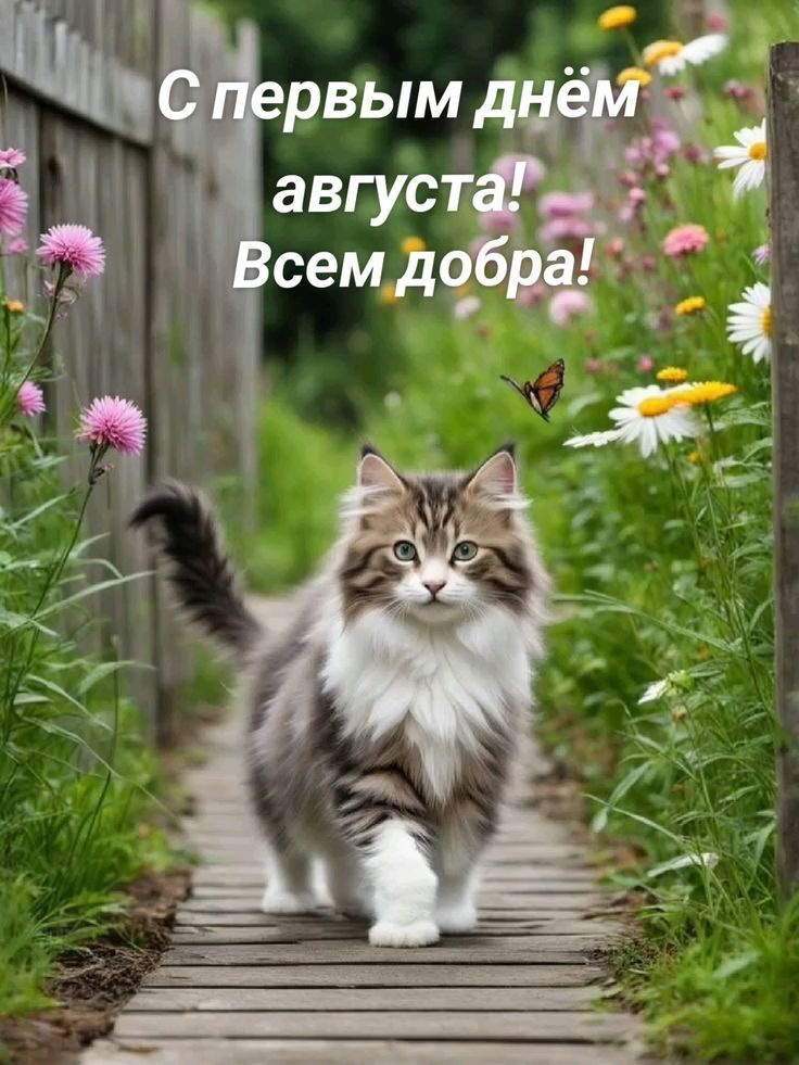 С первым днём августа! Всем добра!