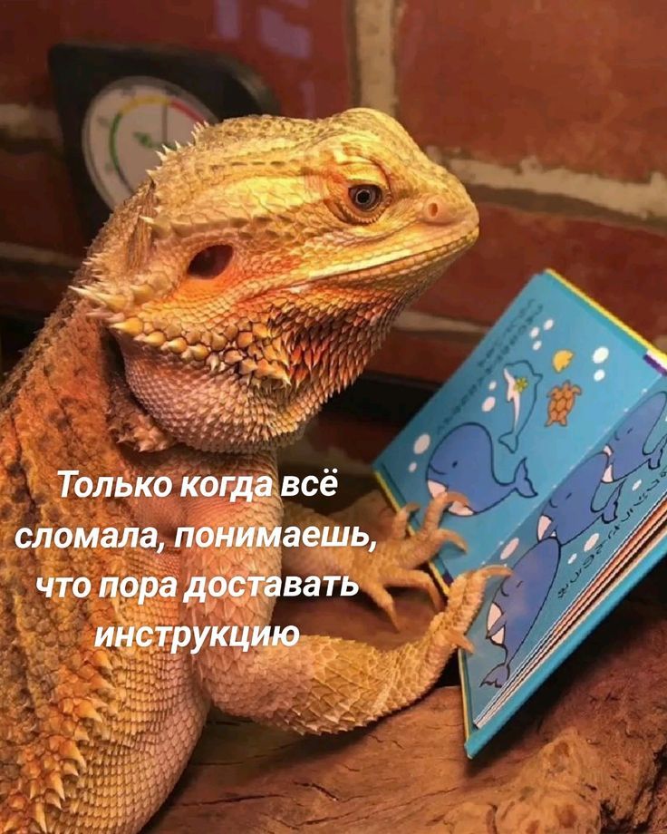 Только когда всё сломала, понимаешь, что пора доставать инструкцию