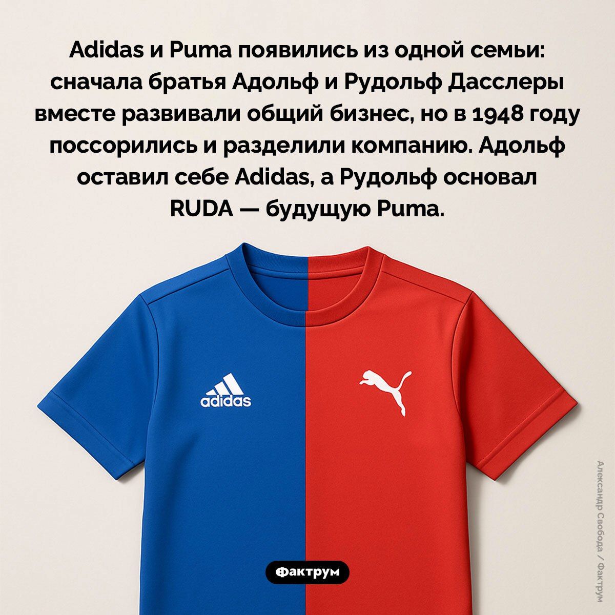 Adidas и Puma появились из одной семьи: сначала братья Адольф и Рудольф Дасслиеры вместе развивали общий бизнес, но в 1948 году поссорились и разделили компанию. Адольф оставил себе Adidas, а Рудольф основал RUDA — будущую Puma.
