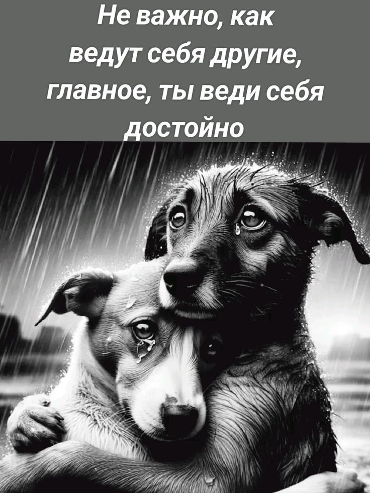 Не важно, как ведут себя другие, главное, ты веди себя достойно