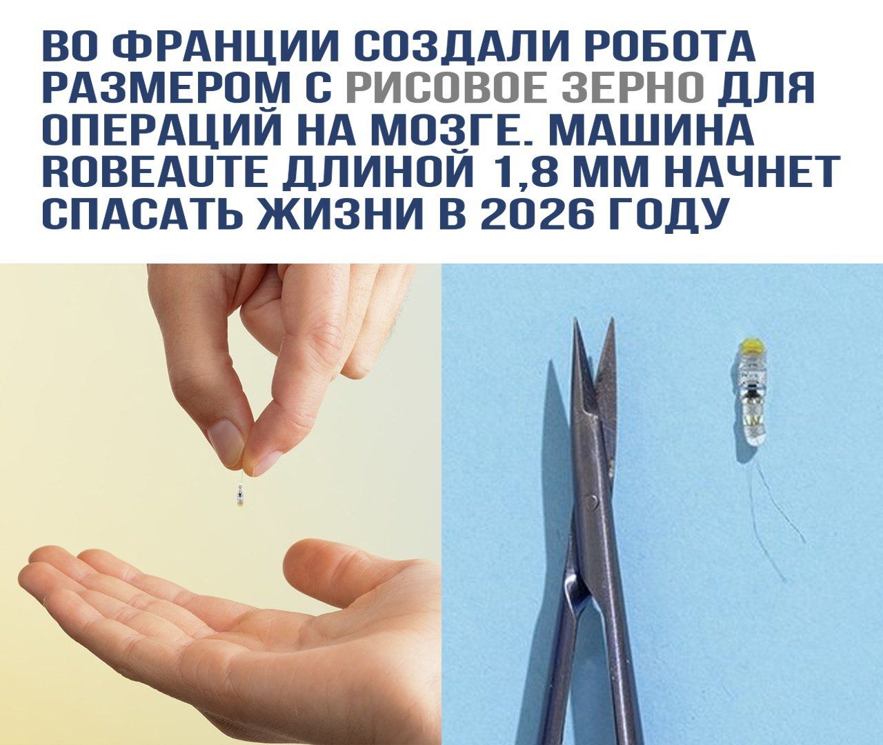 Во Франции создали робота размером с рисовое зерно для операций на мозге. Машина Robeaute длиной 1,8 мм начнёт спасать жизни в 2026 году.