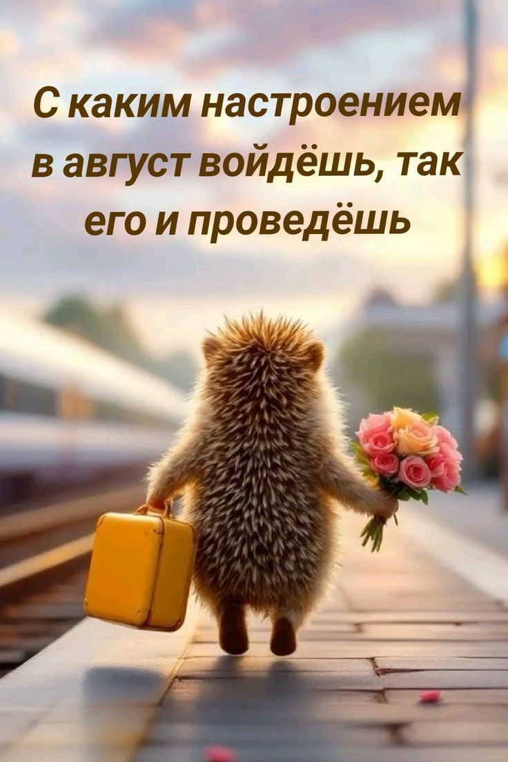 С каким настроением в август войдёшь, так его и проведёшь