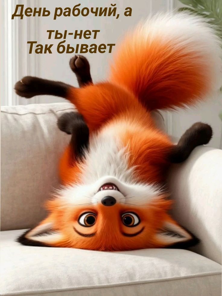 День рабочий, а ты-нет Так бывает