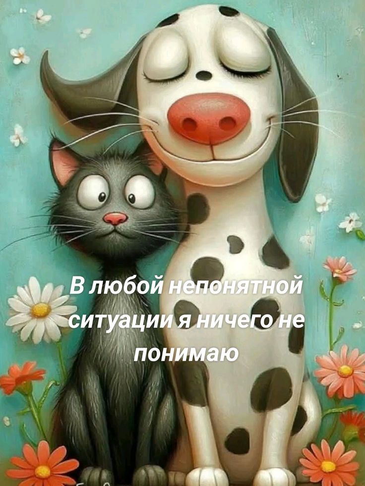 В любой непонятной ситуации я ничего не понимаю