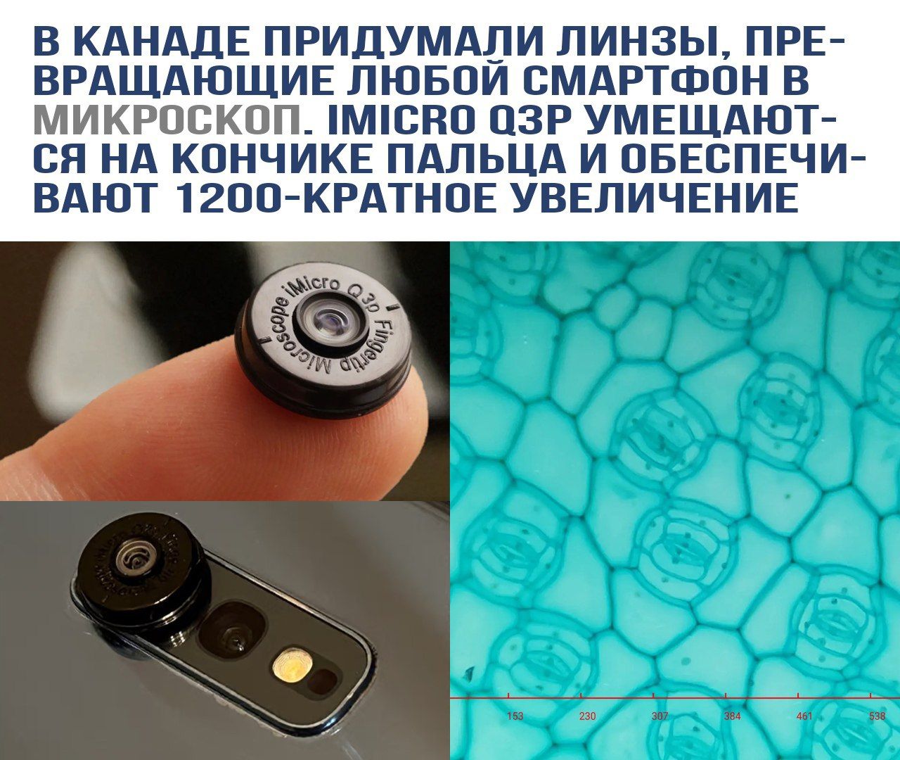 В Канаде придумали линзы, превращающие любой смартфон в микроскоп. iMicro QZR умещается на кончике пальца и обеспечивает 1200-кратное увеличение.
