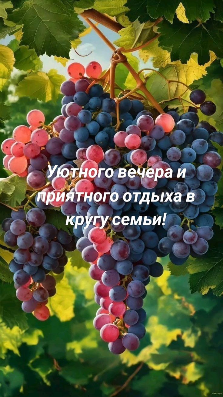 Уютного вечера и приятного отдыха в кругу семьи!
