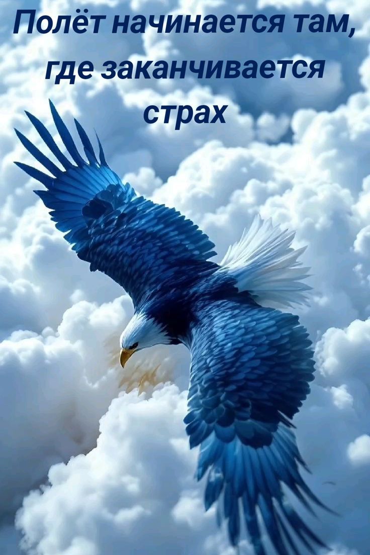 Полет начинается там, где заканчивается страх
