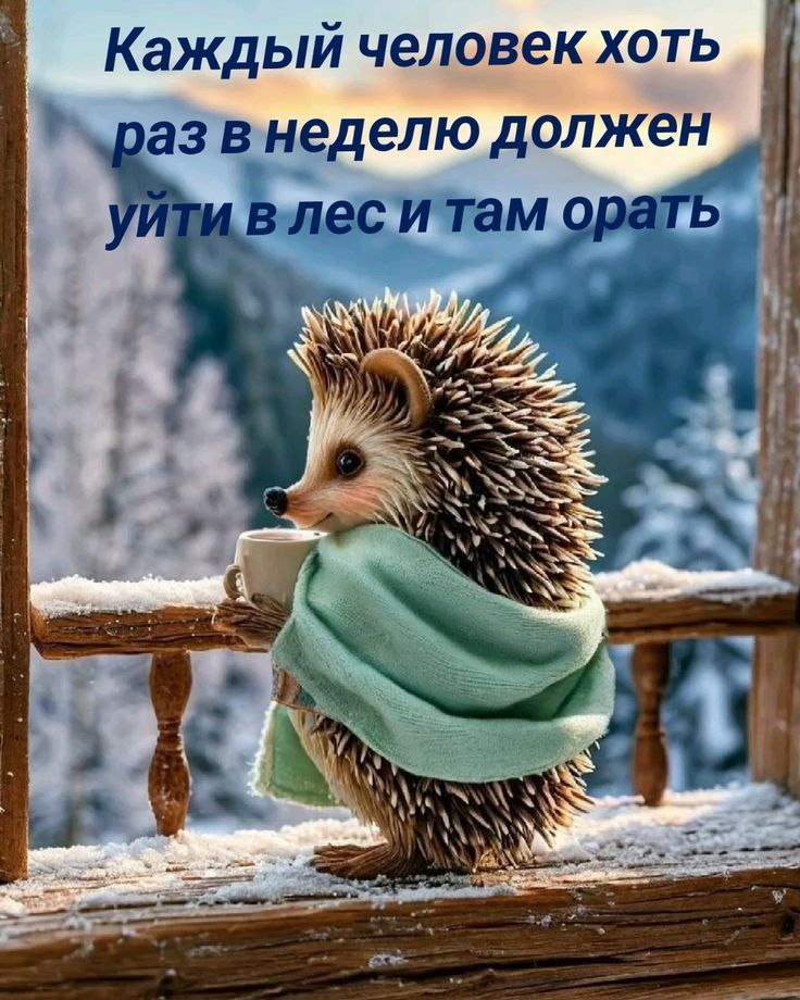 Каждый человек хоть раз в неделю должен уйти в лес и там орать