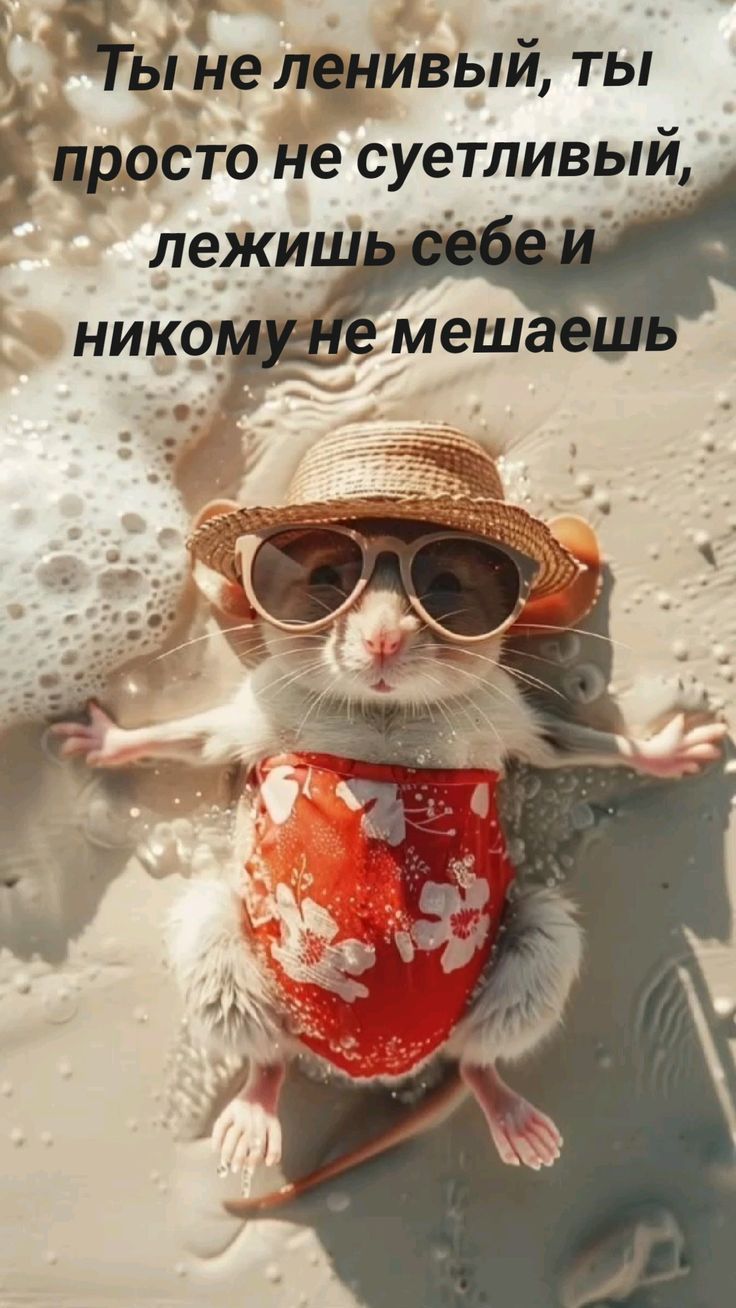 Ты не ленивый, ты просто не суетливый, лежишь себе и никому не мешаешь