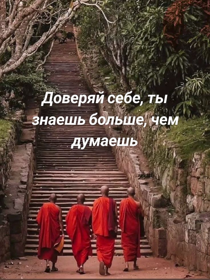 Доверяй себе, ты знаешь больше, чем думаешь