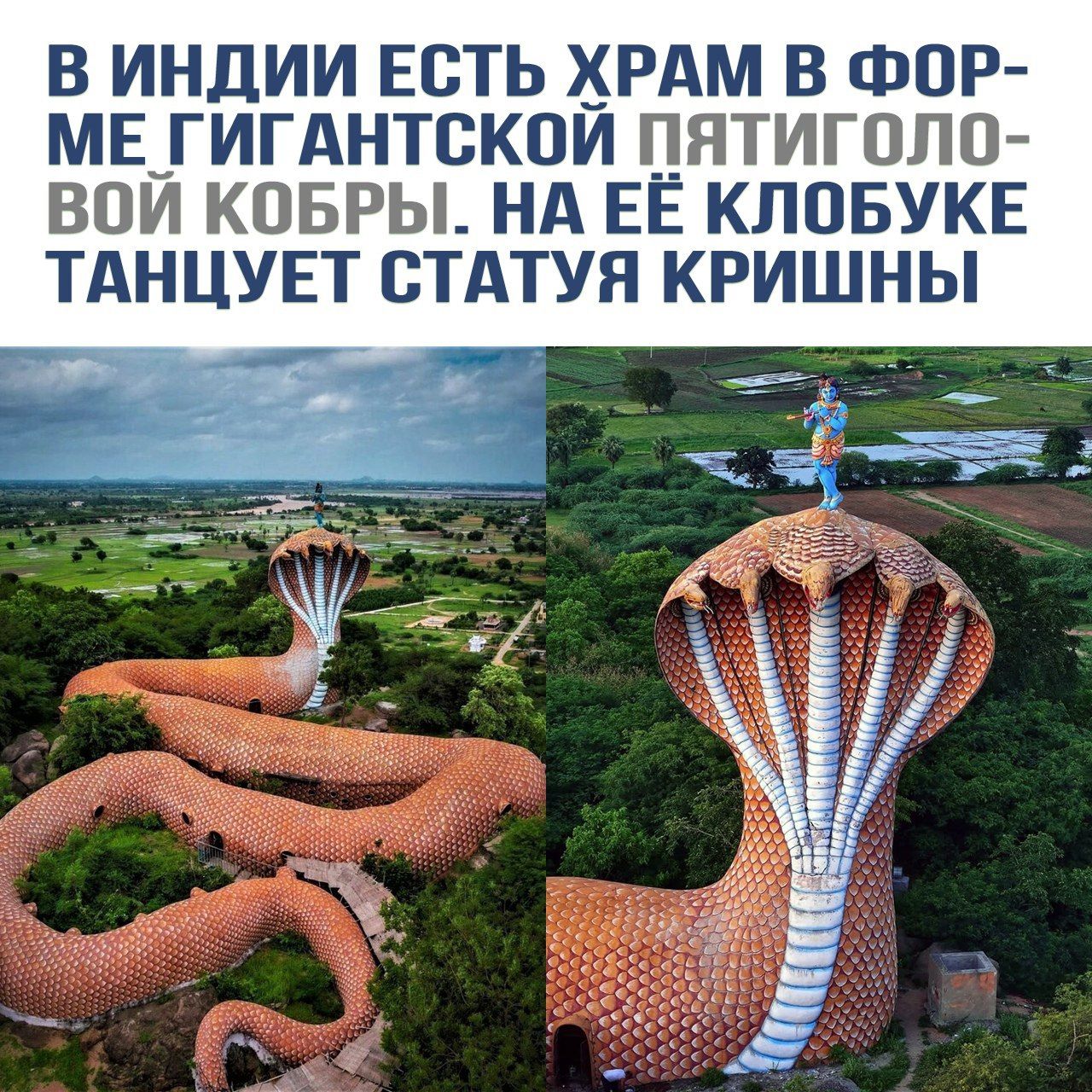 В Индии есть храм в форме гигантской пятиголовой кобры. На её клубке танцует статуя Кришны.