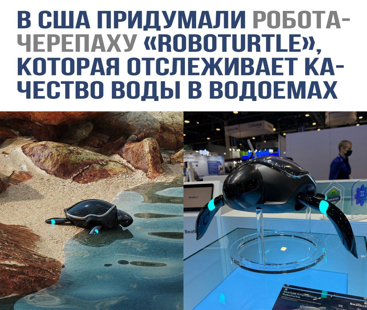В США придумали робота-черепаху «Roboturtle», которая отслеживает качество воды в водоемах